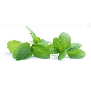 Aromat spożywczy Mięta, lekka 10 ml